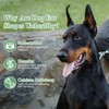 POPETPOP 2 Sets Dog Ear Posting Kit - Doberman Ear