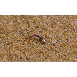 Tungsten Bead Purple Rainbow Warrior Midge Nymph Fly | 12 Flies | Mustad Signature Hooks (Hook #16)