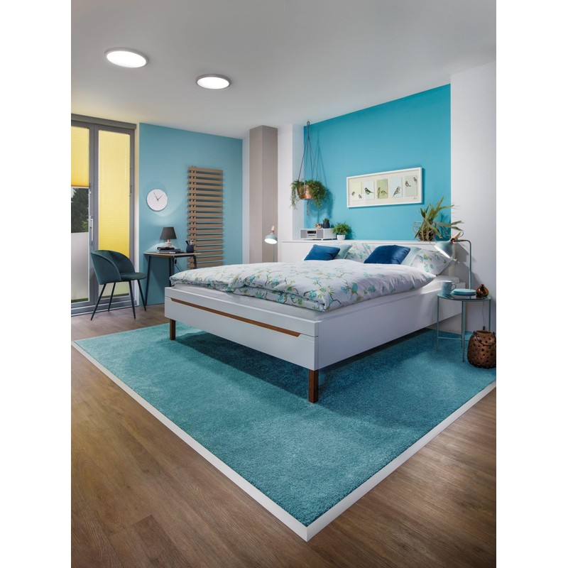 Paulmann 709.37 Atria Ceiling Light LED Panel 220 mm 15