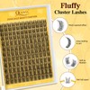 QUEWEL Eyelash Extensions, 144 Pieces, Natural Cluster Lashes, D-Curl Fine