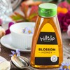 Hilltop Honey - Organic Blossom Honey - Squeezy Bottle -