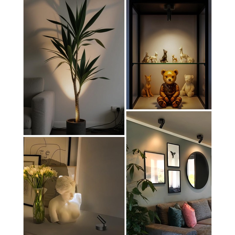 GOODEA Spotlights Indoor with Remote, 3000mAh Rechargeable Battery Plant Spotlight