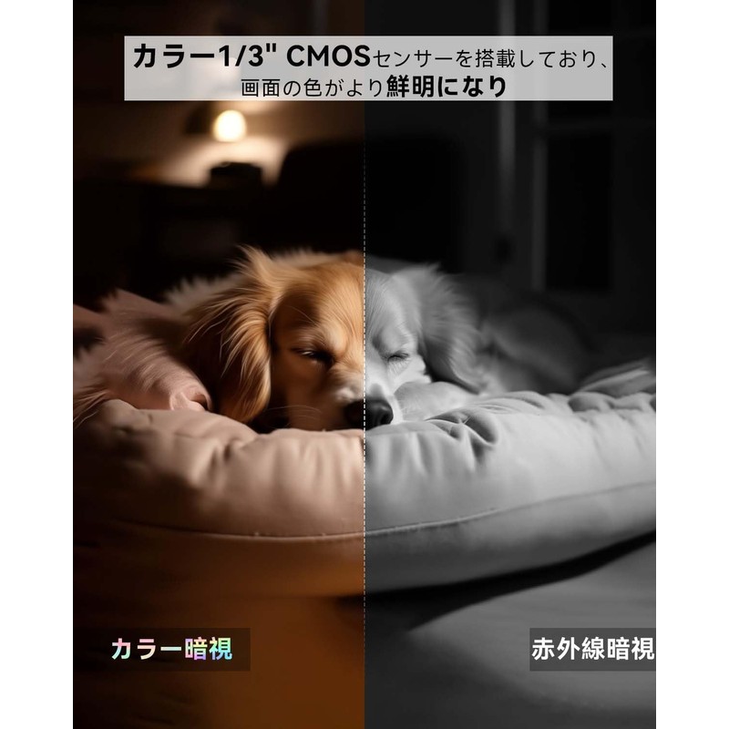Set of 2, Full Color Night Vision, 3 Megapixels, Pet