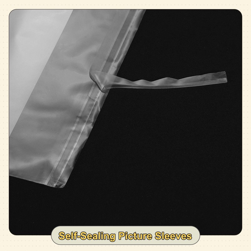 QUARKZMAN 7 x 5 inch Acid-free Picture Case, Pack of