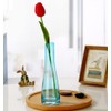 Erioctry Single Bud Vase Hand-Made Blown Art Bud Glass Vase