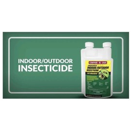 Compare-N-Save 7.9% Bifenthrin Concentrate for Insect Control, 8-ounce