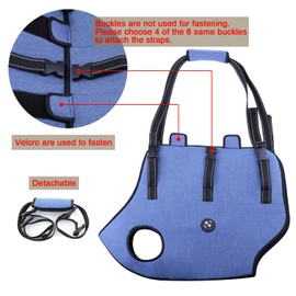 Coodeo Dog Lift Harness, Pet Support & Rehabilitation Sling Lift Adjustable Padded Breathable Straps for Old, Disabled, Joint Injuries, Arthritis, Loss of Stability Dogs Walk (Blue, M)