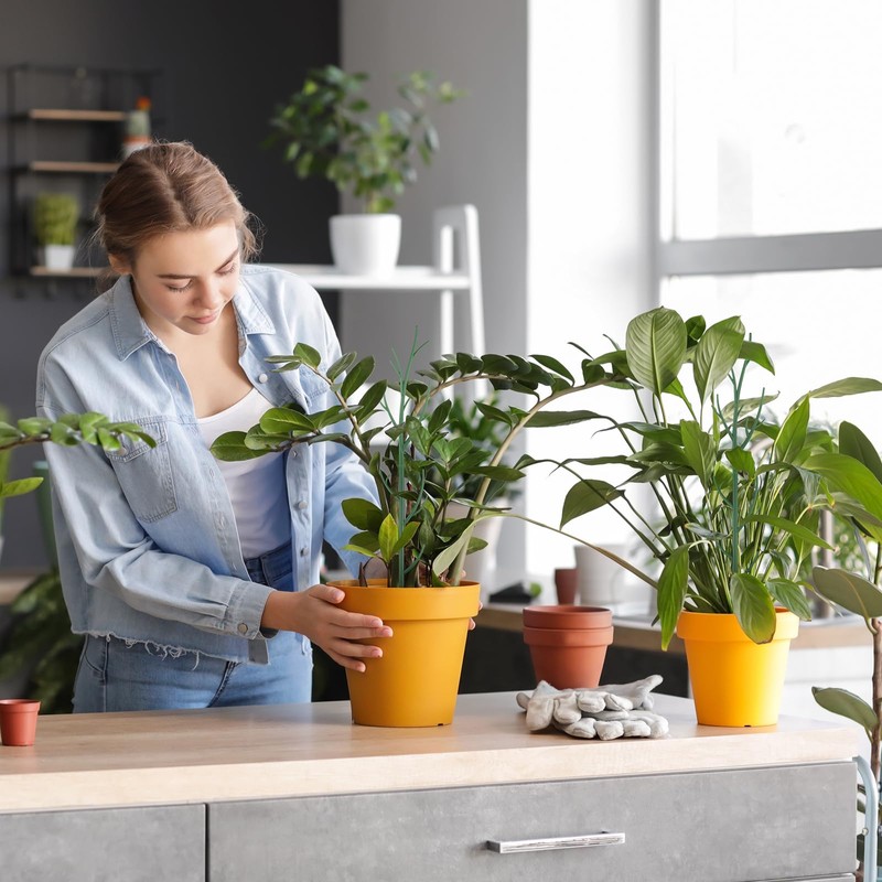 Honeydak 18 Pack Monstera Plant Support Plant Support Stakes for