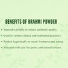 AYURVEDASHREE Centella asiatica Powder 100 Gm I Known as Gotu