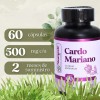Cardo Mariano 60 Cáps | Silimarina | Milk Thistle |