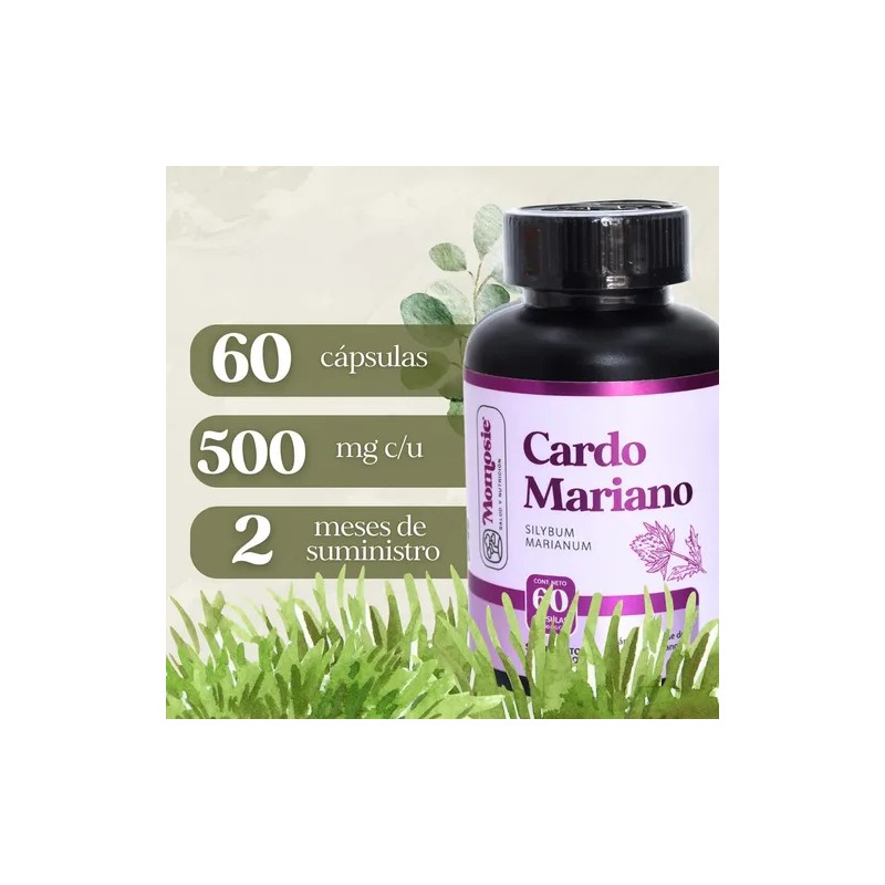 Cardo Mariano 60 Cáps | Silimarina | Milk Thistle |