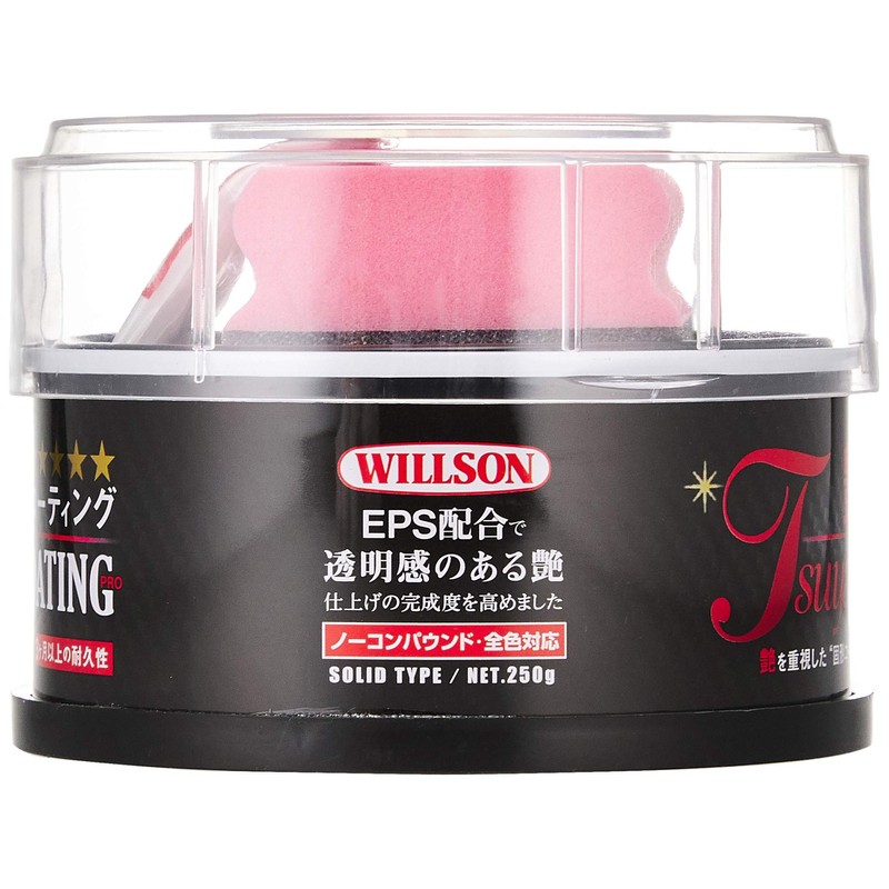 ウィルソン(WILLSON) 艶&コーティング 250G 01262 [HTRC4.1]