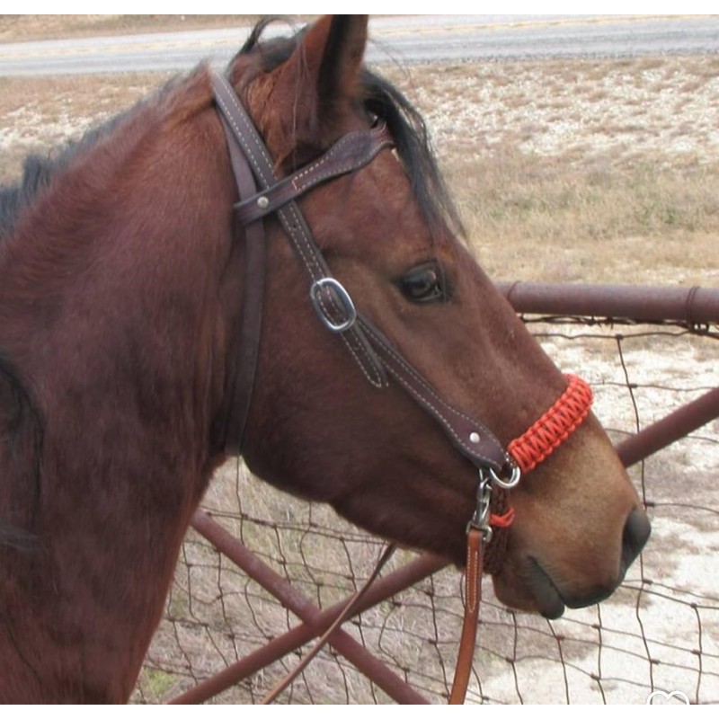 side pull hackamore bitless bridle attachment Burnt Orange