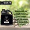 Naturevibe Botanicals Naturevibe Botanicals Mango Oil 32oz and Moringa Seed