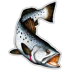 Speckled Trout Sticker Fishing Sticker - Freshwater Wildlife Car Bumper Vinyl Sticker Decal for Vehicles Boats Laptops Windows Skateboards and Luggage Stickers for Men and Women 4"X5" ss18