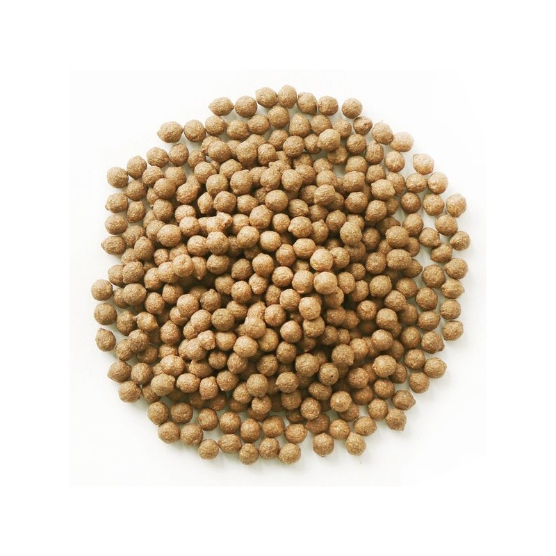 Donguihanjae 동의한재 3년근 도라지환 200g 3-Year Old Velvet Root Extract