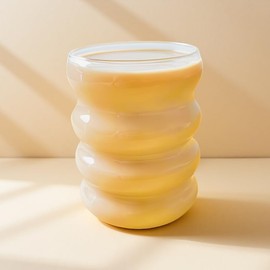 Ribbed Glass Cup 10 Oz Vintage Drinking Glassware Creative Small Ripple Glasses for Iced Coffee Juice Beverage Milk Cocktail Cute Wavy Glass Cups