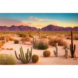 Desert Reptile Habitat Background Arid Landscape of Hot Sahara Desert Terrarium Background Desert Cacti and Sand with Dunes Aquarium Background Natural Hot Desert Fish Tank Background Vinyl 36x24in