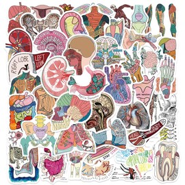 Yoksas Human Anatomy Stickers - 50Pcs Human Body Organ Physiology Biology Science Study Stickers for Water Bottle,Laptop,Scrapbook