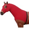 Rugged Ride Fitted Lycra Mane Tamer with Zipper Closure