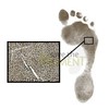 Inkless Wipe Hand & Foot Print Kit by Save The