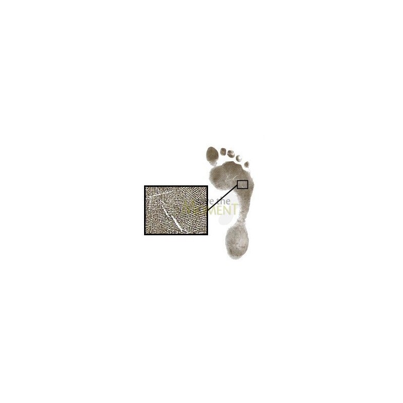 Inkless Wipe Hand & Foot Print Kit by Save The