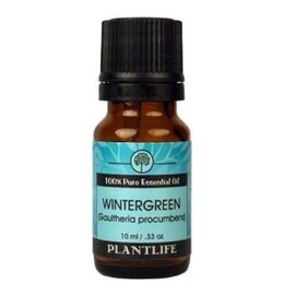 Plantlife Wintergreen Aromatherapy Essential Oil - Straight from The Plant 100% Pure Therapeutic Grade - No Additives or Fillers - 10 ml