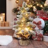 Pre-lit Snowy Mini Christmas Tree, Small Tabletop Flocked Christmas Tree