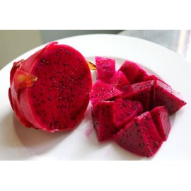 2 RED DRAGON FRUIT TREE PLANT VINE CUTTINGS(PITAHAYA) 9 Inch Cutting or LONGER