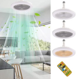Ceiling Light with Fan, Lamp with Fan, Ceiling Fan with Light Lighting E27 Converter Base with Remote Control for Bedroom Living Home Silent AC85-265V 9.8 Inch