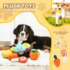 10 Pcs Squeaky Dog Toys,Soft Plush Pet Toy Set Dog