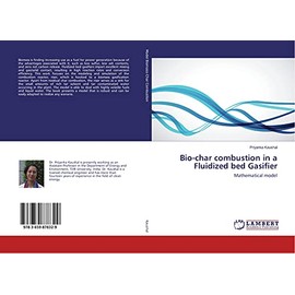 Bio-char combustion in a Fluidized bed Gasifier: Mathematical model
