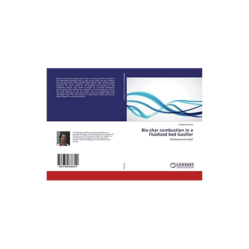 Bio-char combustion in a Fluidized bed Gasifier: Mathematical model