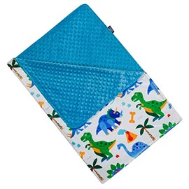 Wildkin Plush Throw Blanket for Boys and Girls, Perfect for Cozy Cuddles and Travel Blanket for Kids, Super Soft and Breathable Plush Blankets, Measures 60 X 40 Inches (Dinosaur Land)