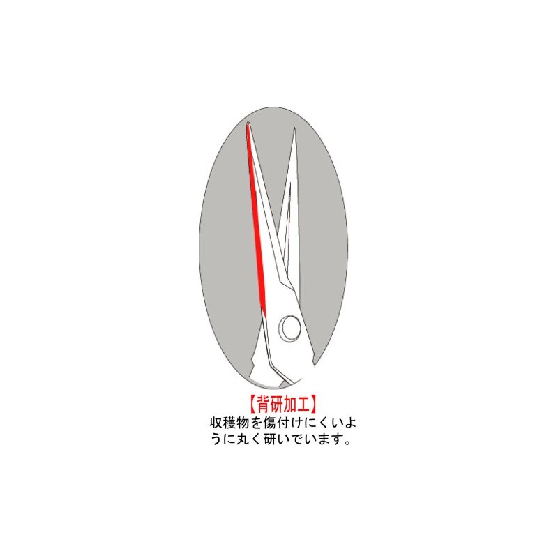 tikamasa Stainless 摘果 Scissor Tee – 500S