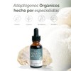 LANDA Extracto Liquido de Hongo Melena de León 30 ml
