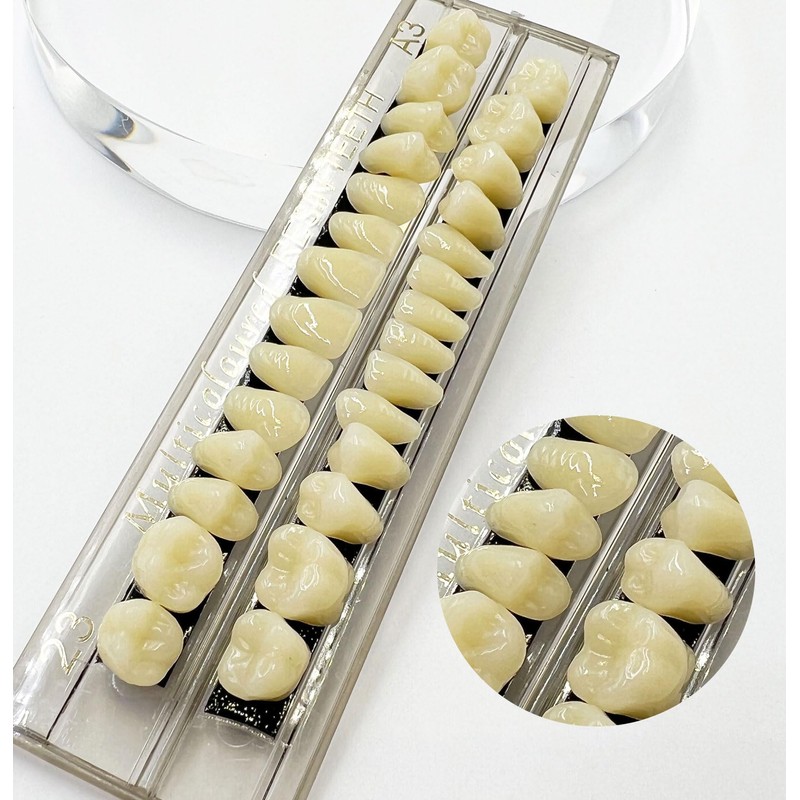 56 Pcs False Teeth Fake Teeth 2 Sets Synthetic Resin