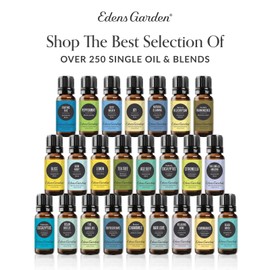 Edens Garden Essential Oils Aches & Pains 6 Set – 100% Pure Therapeutic Grade, Natural Aromatherapy Blends for Headache, Muscle Relief & Relaxation – Undiluted for Massage & Self-Care, 10 ml/ 6 Pack