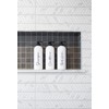 Alora 16oz Refillable Shampoo and Conditioner Dispenser Bottles - Set