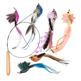 Interactive Cat Toys for Indoor Cats - 35'' Steel Wire and 6PCS Cat Feather Bird Toys Refills,Cat Teaser Toy,Cat Wand Toy ,Feathers & Bells, Realistic Bird Impression (7 PCS Cat Wand Toy Birds)