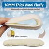 2 Pairs of Winter Insoles, Plush Insoles, Insoles for Cold
