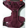 Reddy Burgundy Canvas Dog Harness, Medium By: Reddy