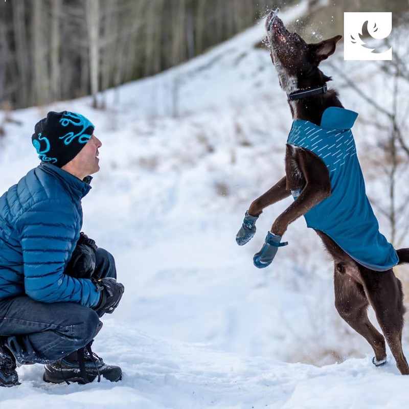 RC Pets Cascade Dog Coat, Essential All Weather Dog Jacket,