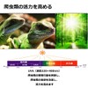 ShiawaseforU Reptile Light, UVA, Daytime Spotlamp, Amphibian Lighting, Natural Sunlight,