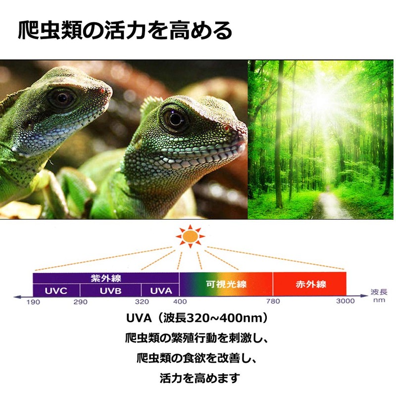 ShiawaseforU Reptile Light, UVA, Daytime Spotlamp, Amphibian Lighting, Natural Sunlight,