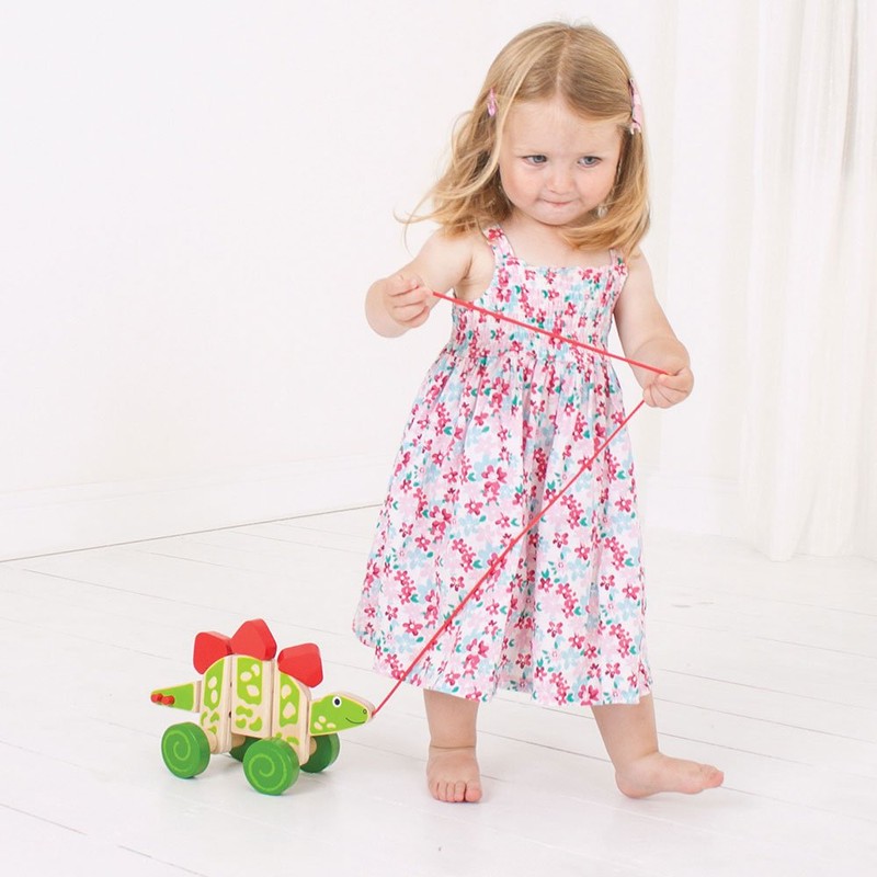 Bigjigs Toys Pull Along (Stegosaurus)