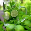Peppermint (250g, 8.8oz), peppermint leaves cut, peppermint tea gently dried,