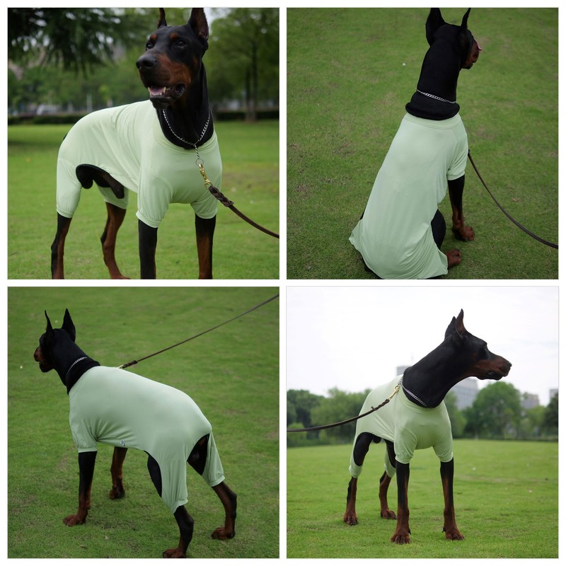 LoveLongLong Dog Jumpsuit with UV Protection and Quick-Dry Fabric for