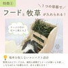 Rabbit Bait Container Timothy Grass Container Pellet Container Wood Wood