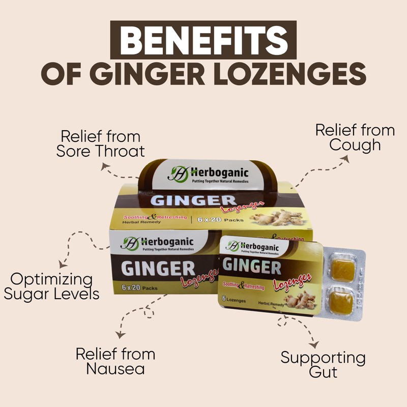 HERBOGANIC Ginger Lozenges Leaf of 6, 20 Packs per Box